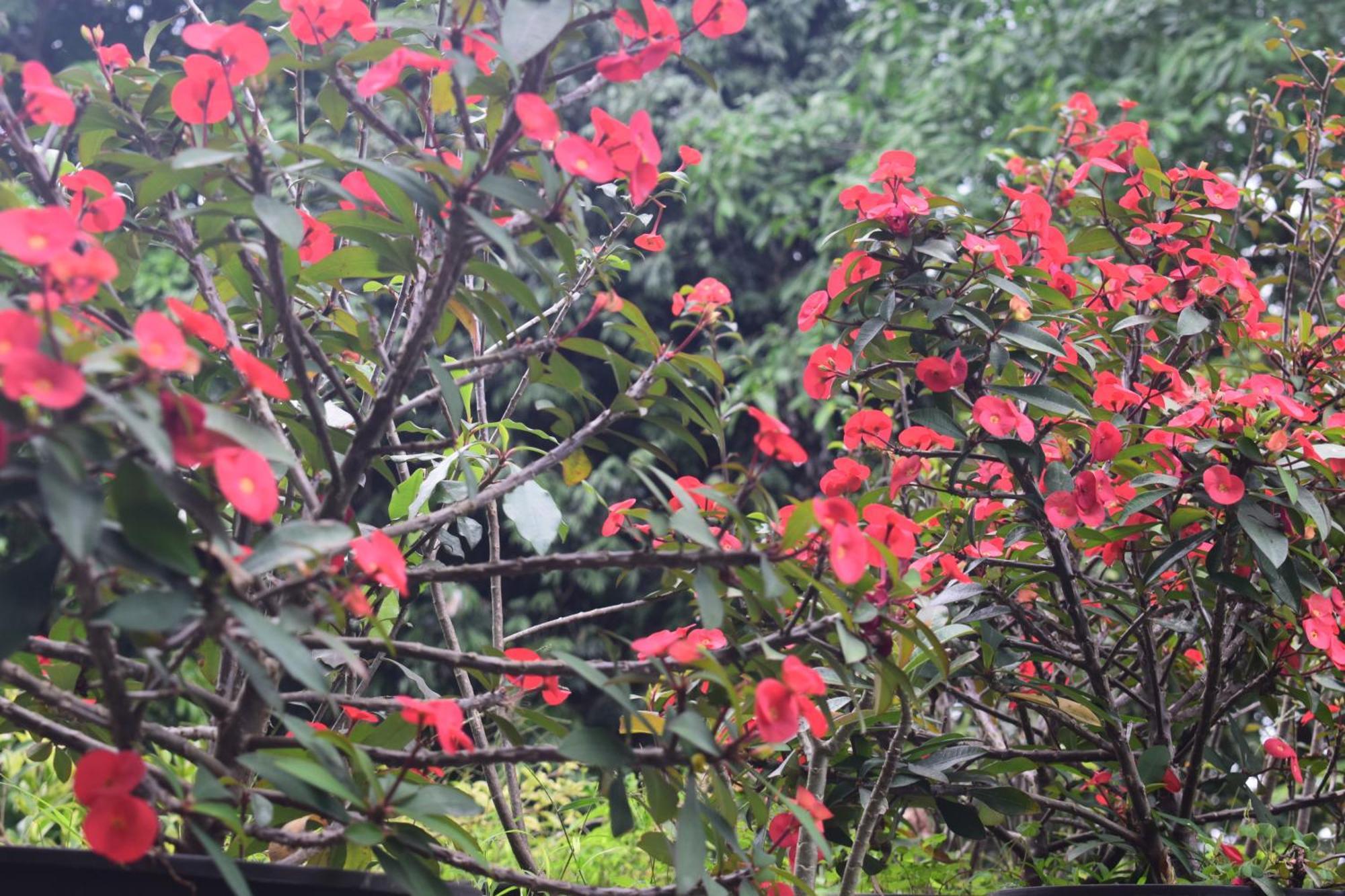 Namaya Nature Kandy Exteriér fotografie
